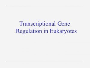 Transcriptional Gene Regulation in Eukaryotes Overview 4 Gene