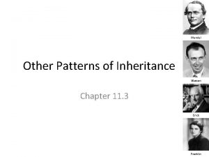 Mendel Other Patterns of Inheritance Watson Chapter 11