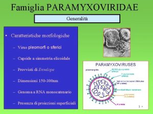 Famiglia PARAMYXOVIRIDAE Generalit Caratteristiche morfologiche Virus pleomorfi o