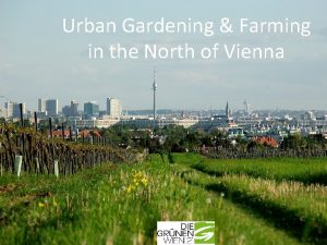 Urban Gardening Farming in the North of Vienna