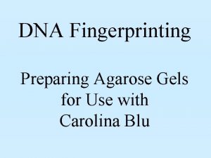 DNA Fingerprinting Preparing Agarose Gels for Use with