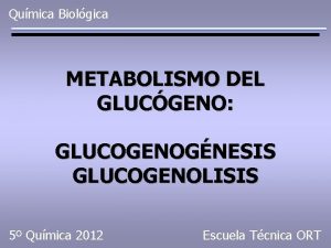 Qumica Biolgica METABOLISMO DEL GLUCGENO GLUCOGENOGNESIS GLUCOGENOLISIS 5