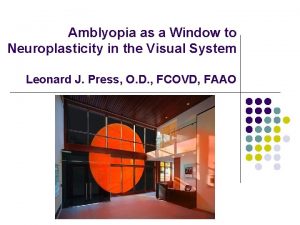 Amblyopia as a Window to Neuroplasticity in the
