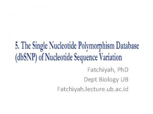 Fatchiyah Ph D Dept Biology UB Fatchiyah lecture