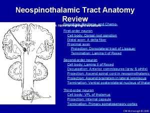 Neospinothalamic Tract Anatomy Review Receptors Mechanoand Chemo Click