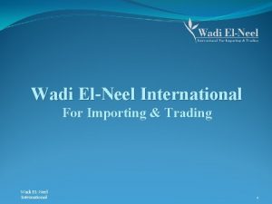 Wadi ElNeel International For Importing Trading Wadi ELNeel