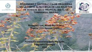 DIVERSIDAD Y DISTRIBUCIN DE ORQUDEAS EN LA PARTE