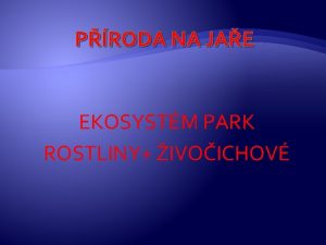 PRODA NA JAE EKOSYSTM PARK ROSTLINY IVOICHOV PARK