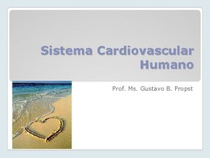 Sistema Cardiovascular Humano Prof Ms Gustavo B Propst