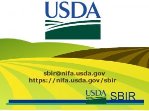 sbirnifa usda gov https nifa usda govsbir SBIR