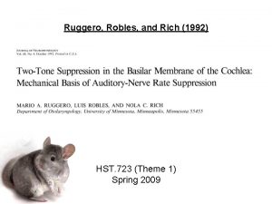 Ruggero Robles and Rich 1992 HST 723 Theme