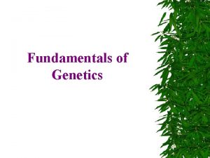 Fundamentals of Genetics Gregor Mendel was a monk