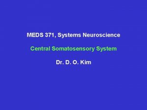 MEDS 371 Systems Neuroscience Central Somatosensory System Dr