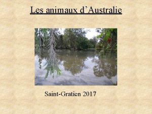 Les animaux dAustralie SaintGratien 2017 LE PLAN Introduction