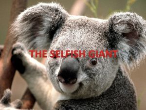 THE SELFISH GIANT Comprehension CheckI 1 Why is