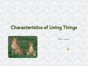 Characteristics of Living Things Mrs Connor Six Characteristics