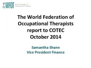 The World Federation of Occupational Therapists report to