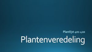 Plantenveredeling Kuiflavendel komt van nature voor in Spanje