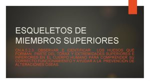 ESQUELETOS DE MIEMBROS SUPERIORES CN A 5 2