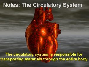 Notes The Circulatory System The circulatory system is