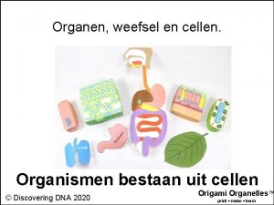 Organen weefsel en cellen Organismen bestaan uit cellen