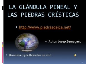 LA GLNDULA PINEAL Y LAS PIEDRAS CRSTICAS http