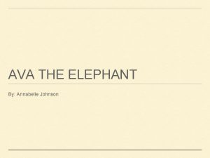 AVA THE ELEPHANT By Annabelle Johnson AVA THE