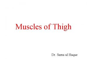 Muscles of Thigh Dr Sama ul Haque Objectives