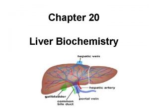 Chapter 20 Liver Biochemistry The function of liver