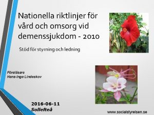 Nationella riktlinjer fr vrd och omsorg vid demenssjukdom