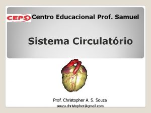 Centro Educacional Prof Samuel Sistema Circulatrio Prof Christopher