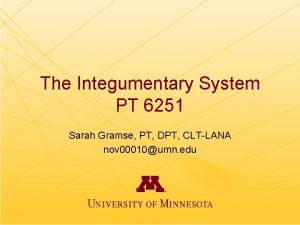 The Integumentary System PT 6251 Sarah Gramse PT