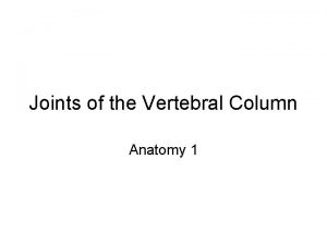 Joints of the Vertebral Column Anatomy 1 Vertebrae