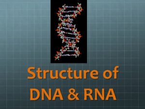 Structure of DNA RNA DNA Deoxyribose Nucleic Acid