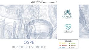 OSPE REPRODUCTIVE BLOCK Important Points 1 Read the