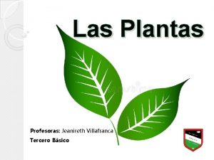 Las Plantas Profesoras Jeanireth Villafranca Tercero Bsico Qu