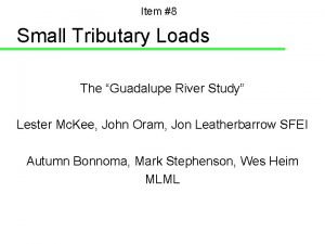 Item 8 Small Tributary Loads The Guadalupe River