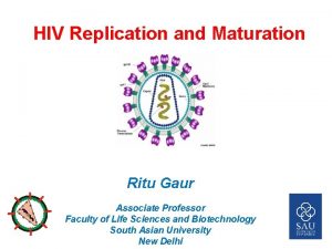 HIV Replication and Maturation Ritu Gaur Associate Professor