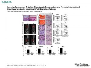 Lycorine Suppresses EndplateChondrocyte Degeneration and Prevents Intervertebral Disc