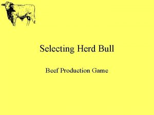 Selecting Herd Bull Beef Production Game What is