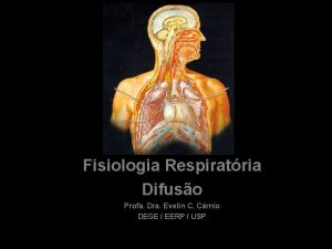 Fisiologia Respiratria Difuso Profa Dra Evelin C Crnio