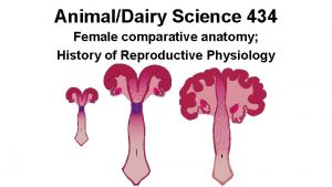 AnimalDairy Science 434 Female comparative anatomy History of