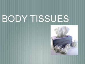 BODY TISSUES Tissues groups of cells that are