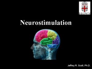 Neurostimulation Jeffrey R Scott Ph D Brain Anatomy