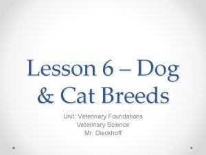 Lesson 6 Dog Cat Breeds Unit Veterinary Foundations