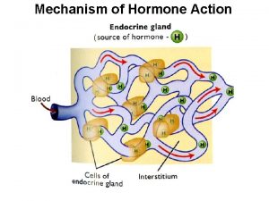 Mechanism of Hormone Action Mechanism of Hormone Action