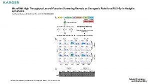 Micro RNA High Throughput LossofFunction Screening Reveals an