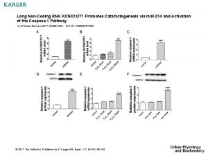 Long NonCoding RNA KCNQ 1 OT 1 Promotes