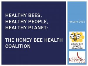 HEALTHY BEES HEALTHY PEOPLE HEALTHY PLANET THE HONEY
