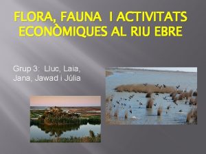 FLORA FAUNA I ACTIVITATS ECONMIQUES AL RIU EBRE
